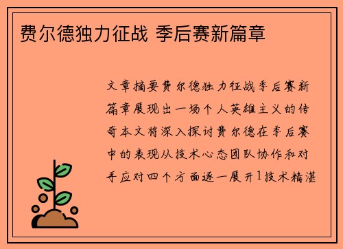 费尔德独力征战 季后赛新篇章